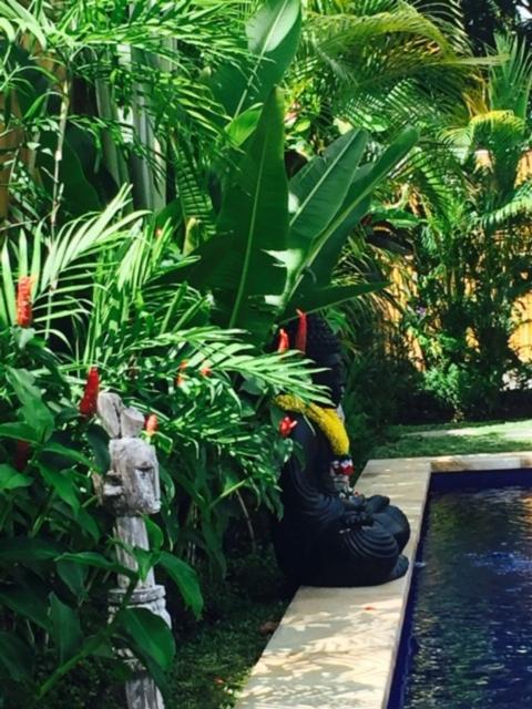 Kayu Bali Hotell Canggu Eksteriør bilde