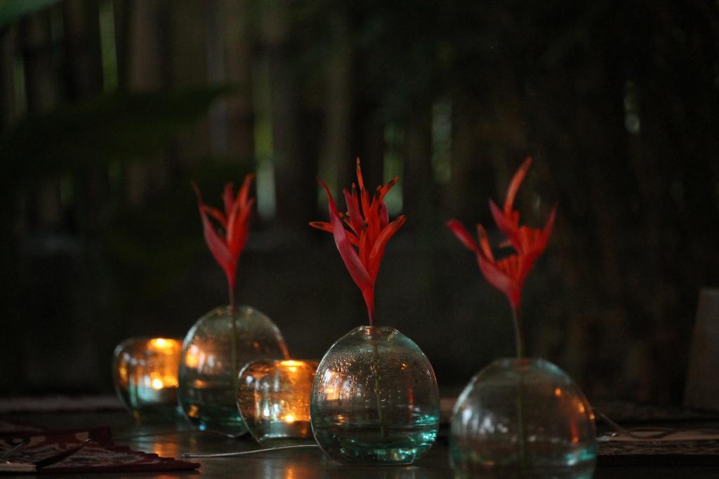 Kayu Bali Hotell Canggu Eksteriør bilde